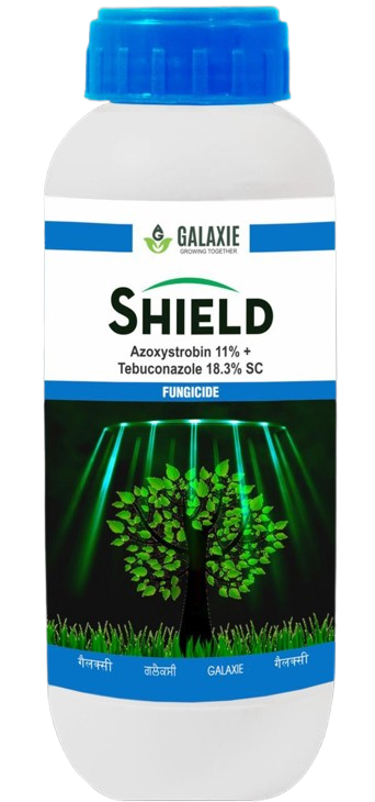 Shield Azoxystrobin